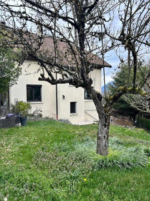 Appartement 3 Chambres A Annecy Dans Maison Pour 2 A 8 Personnes Exterior photo